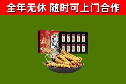 红河烟酒回收冬虫夏草礼盒.jpg